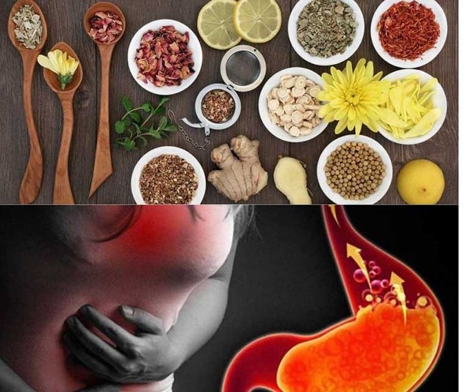 Bài thuốc gia truyền dạ dày 