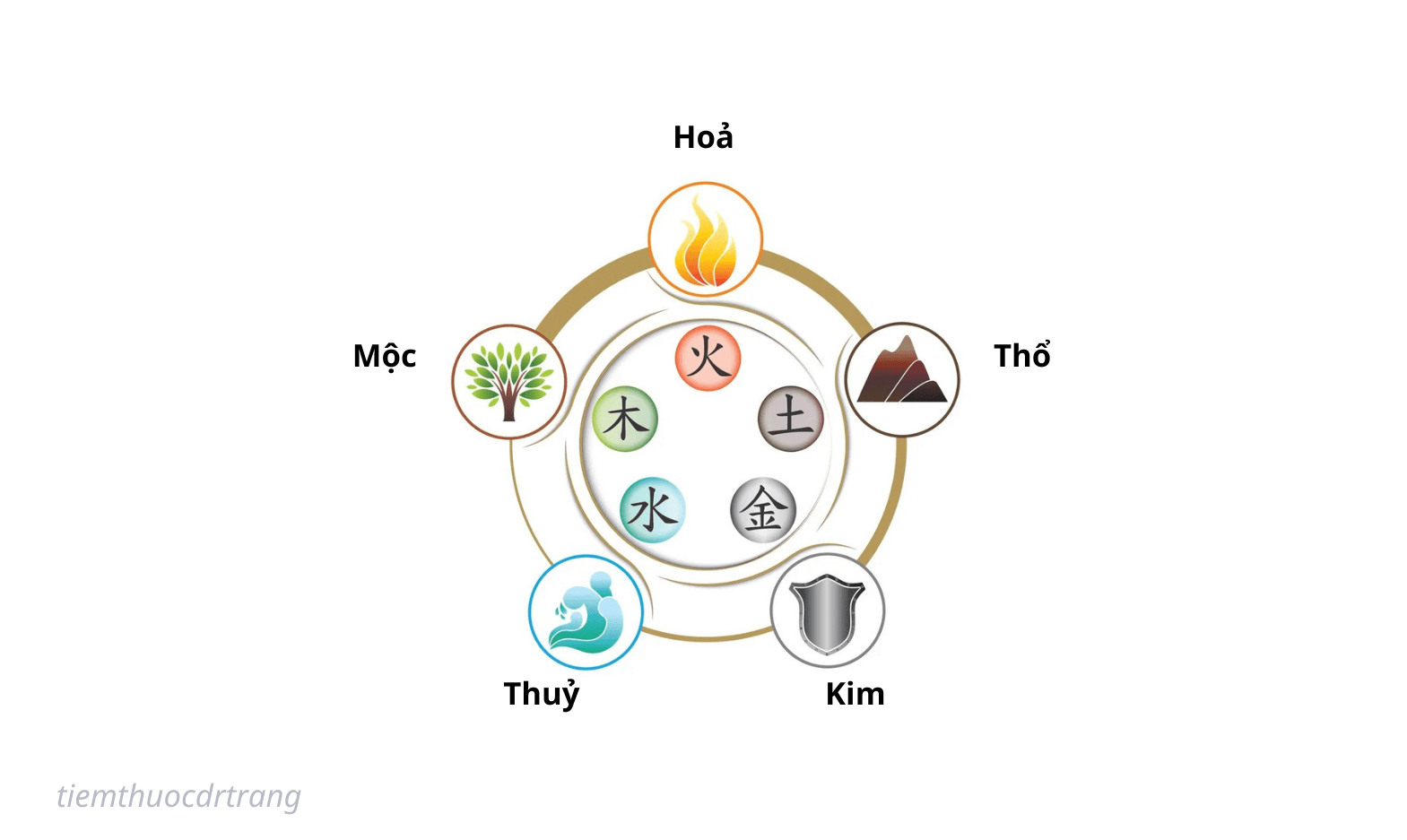 Ngũ hành trong đông y