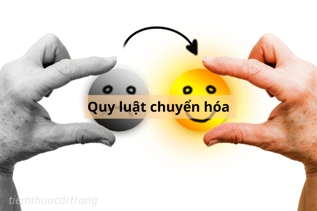 quy luật chuyển hoá âm dương