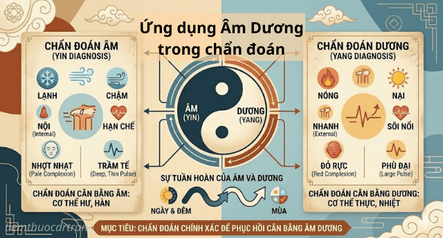 ứn dụng âm dương trong chẩn đoán