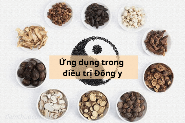Ứng dụng trong điều trị Đông y