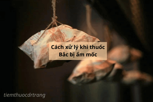 Cách xử lý khi thuốc Bắc bị ẩm mốc