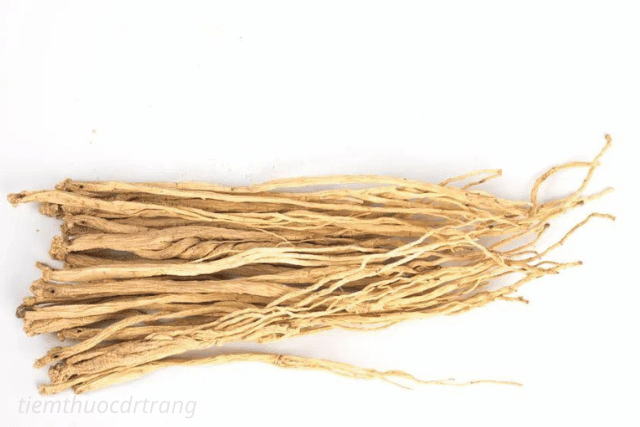 Công dụng của đảng sâm trong Đông y