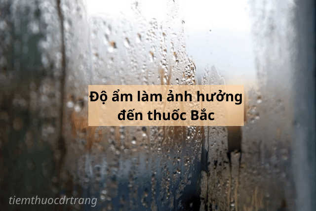 Độ ẩm làm ảnh hưởng đến thuốc Bắc