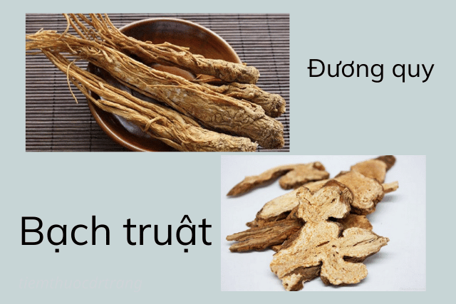 đương quy bạch thuật bồi bổ khí huyết