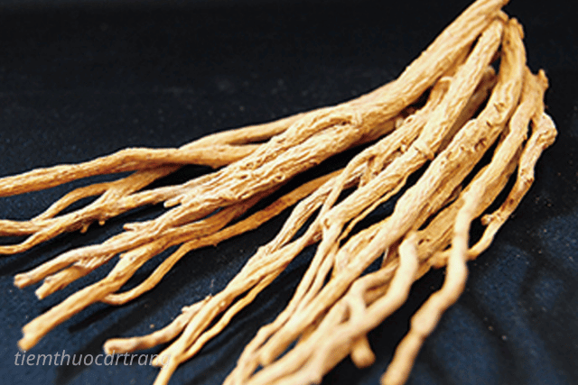 Kết hợp đảng sâm trong bài thuốc