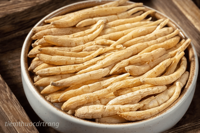 Khi sử dụng đảng sâm cần lưu ý gì?