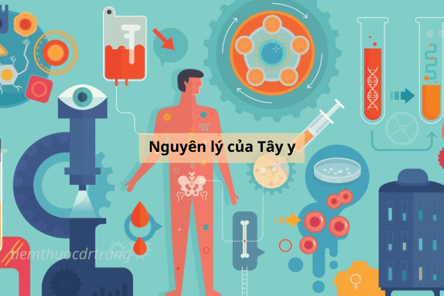 Nguyên lý của Tây y