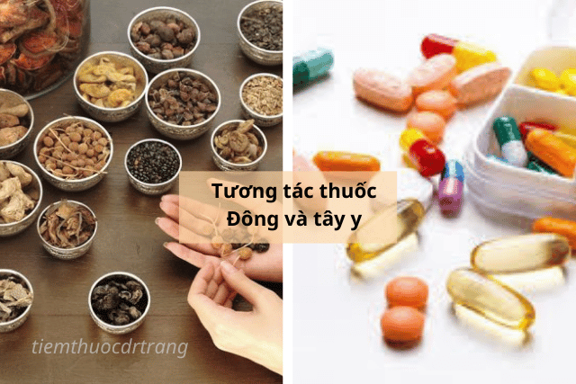 Tương tác thuốc Đông và tây y