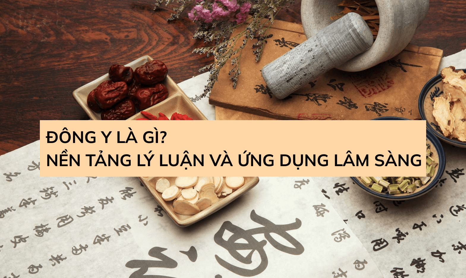 Đông Y Là Gì? Nền Tảng Lý Luận Và Ứng Dụng Lâm Sàng