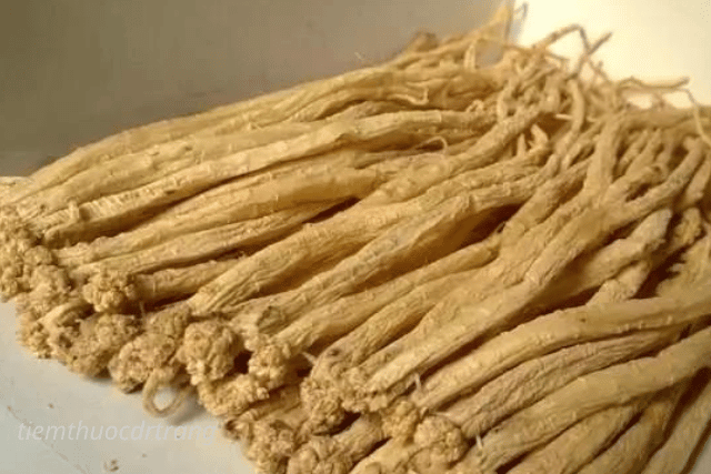 Đảng sâm là gì? Công dụng, cách dùng và lưu ý khi sử dụng trong Đông y