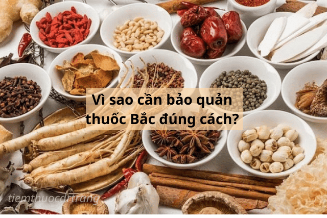 Bảo quản thuốc Bắc sao cho đúng? Hướng dẫn chi tiết tránh ẩm mốc, mất dược tính